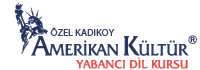 Kadıköy Amerikan Kültür