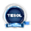 TESOL Sertifikası